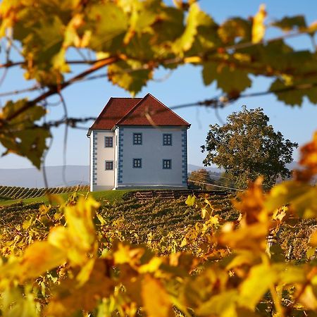 Wine Grower'S Mansion Zlati Gric Apartment Slovenske Konjice Bagian luar foto