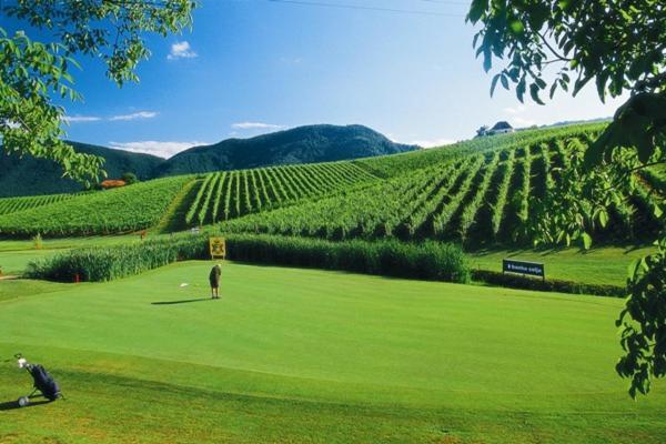 Wine Grower'S Mansion Zlati Gric Apartment Slovenske Konjice Bagian luar foto