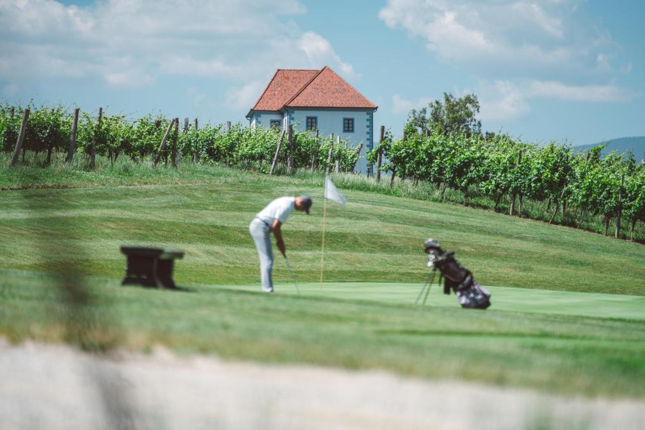 Wine Grower'S Mansion Zlati Gric Apartment Slovenske Konjice Bagian luar foto