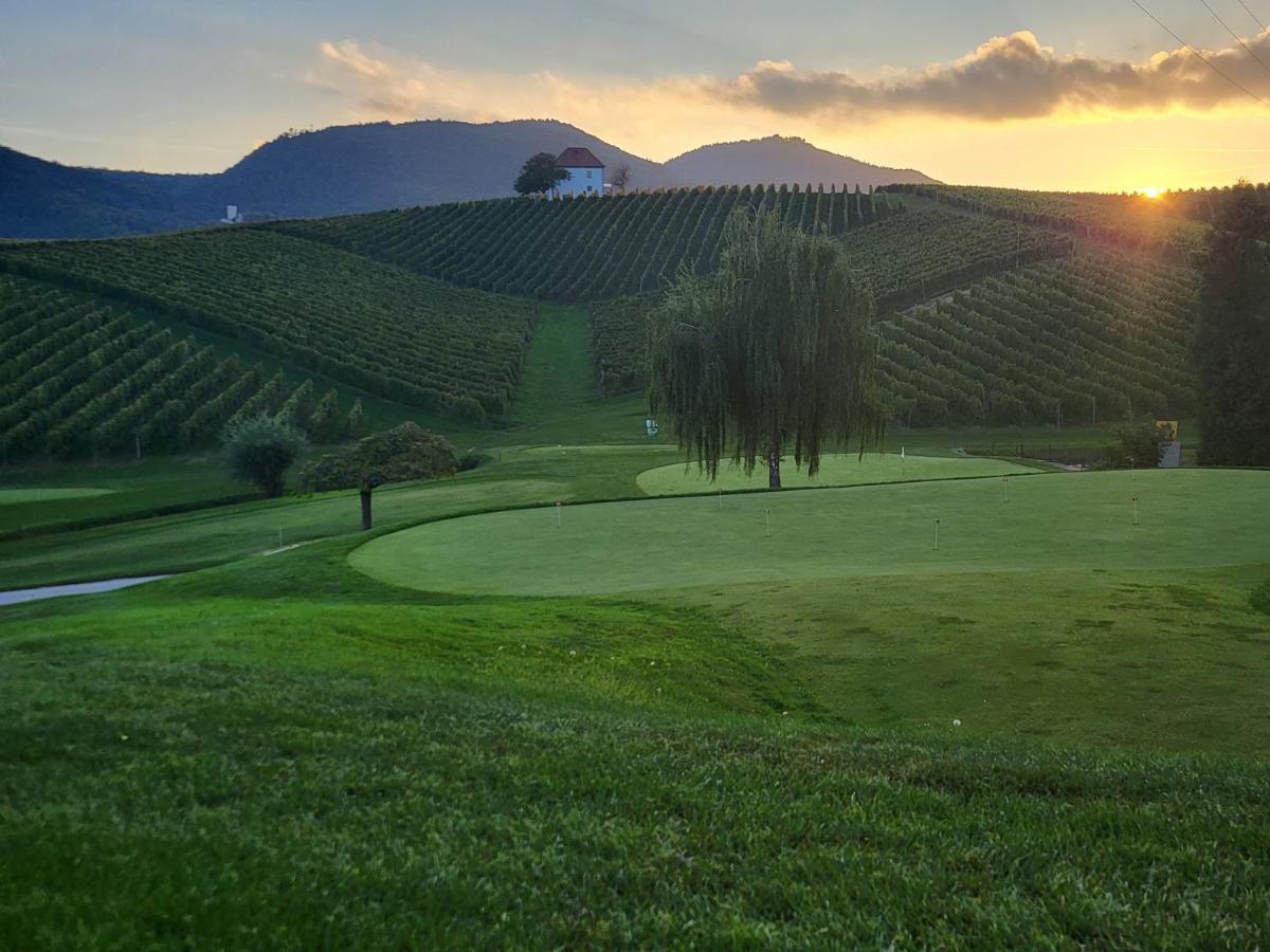 Wine Grower'S Mansion Zlati Gric Apartment Slovenske Konjice Bagian luar foto