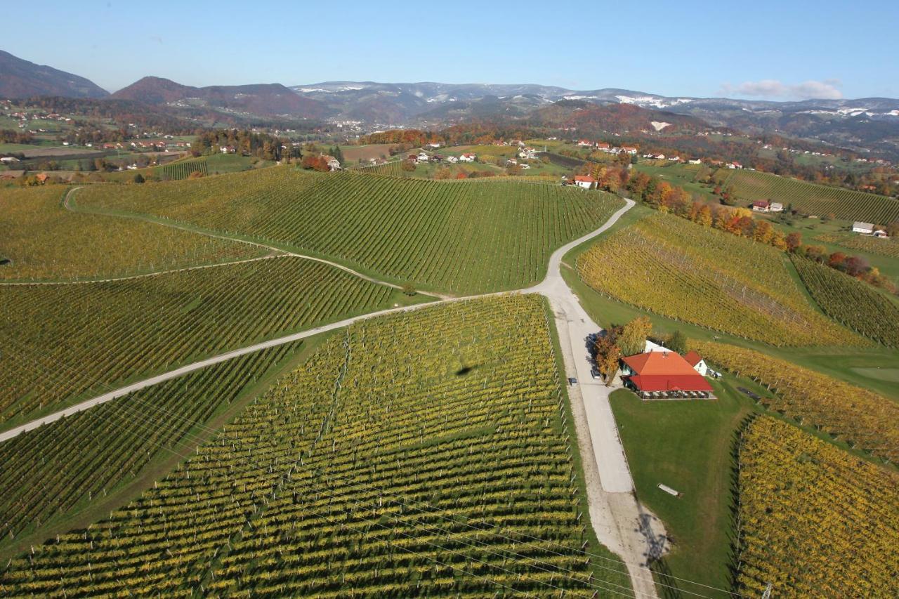 Wine Grower'S Mansion Zlati Gric Apartment Slovenske Konjice Bagian luar foto