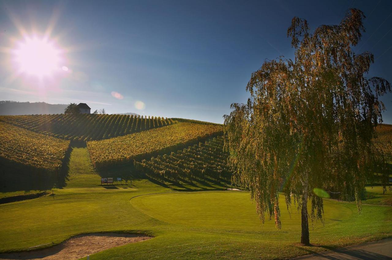 Wine Grower'S Mansion Zlati Gric Apartment Slovenske Konjice Bagian luar foto