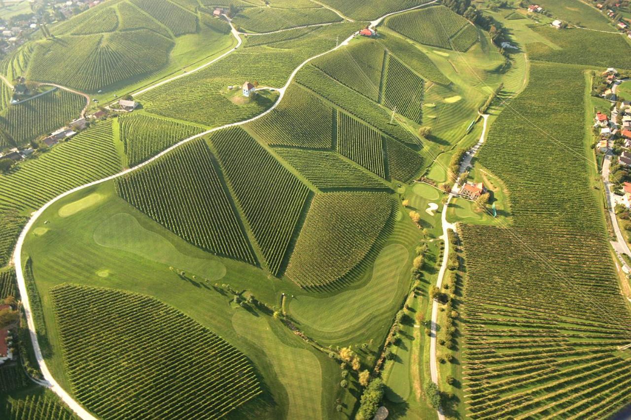 Wine Grower'S Mansion Zlati Gric Apartment Slovenske Konjice Bagian luar foto