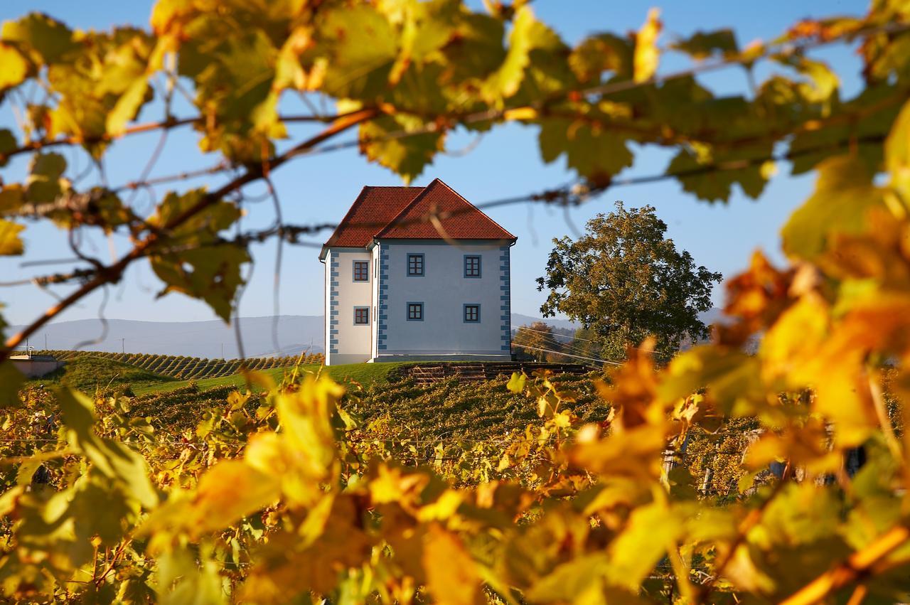 Wine Grower'S Mansion Zlati Gric Apartment Slovenske Konjice Bagian luar foto