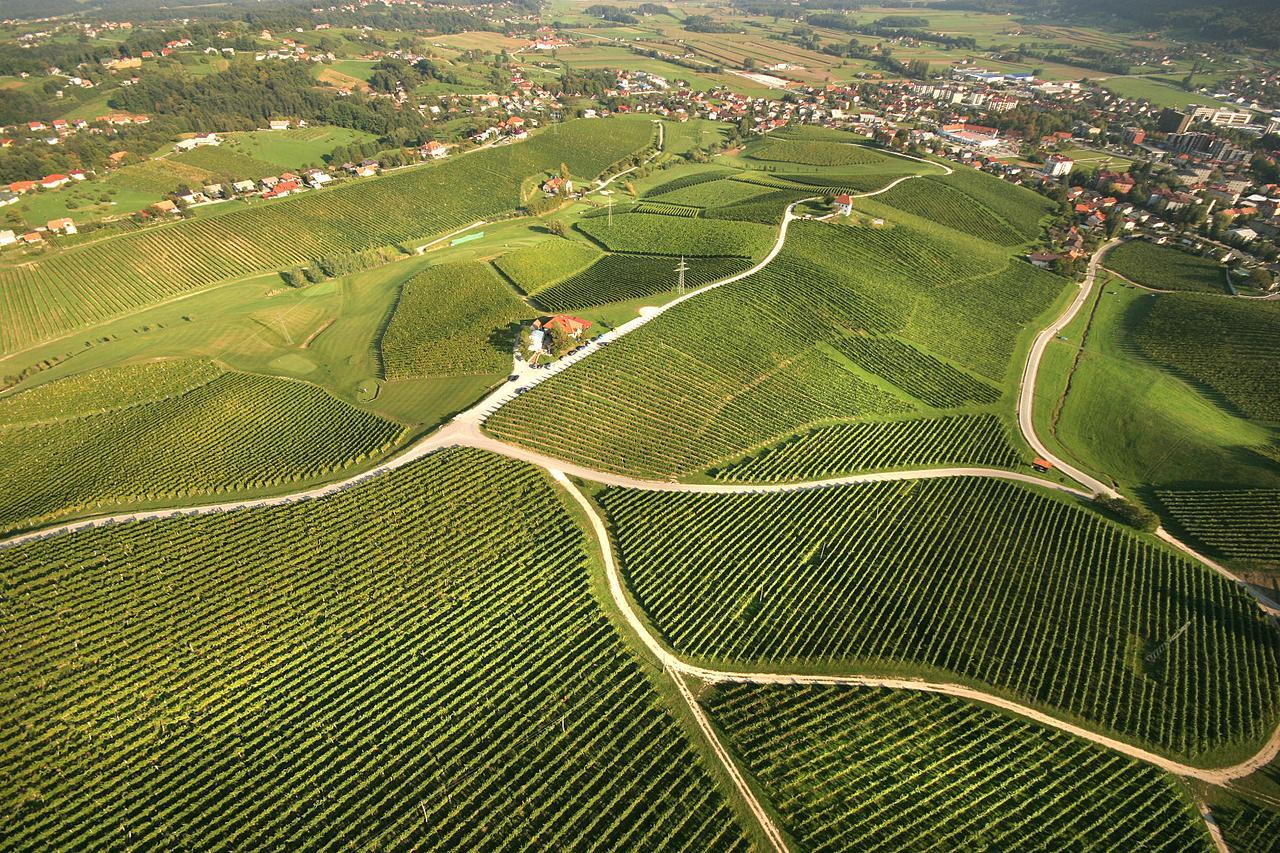 Wine Grower'S Mansion Zlati Gric Apartment Slovenske Konjice Bagian luar foto