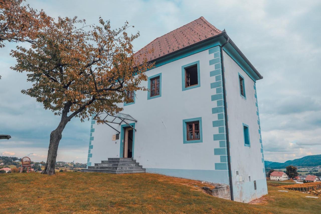 Wine Grower'S Mansion Zlati Gric Apartment Slovenske Konjice Bagian luar foto