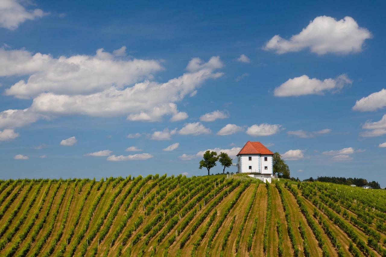 Wine Grower'S Mansion Zlati Gric Apartment Slovenske Konjice Bagian luar foto